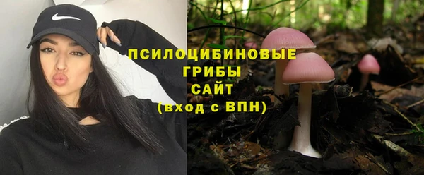 дурь Абдулино