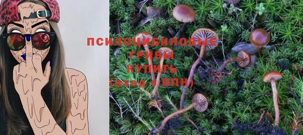 дурь Абдулино