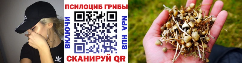 закладка  KRAKEN маркетплейс  Галлюциногенные грибы Magic Shrooms  Юхнов 